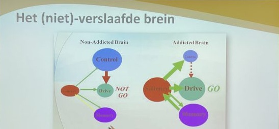 Impressie en presentaties Werkconferentie verslaving is een hersenziekte op 13 juni 2024